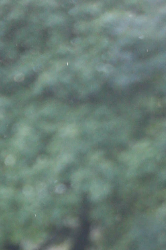 afropunk_music_itzel-55