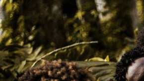 Photo by Bruno Gomes