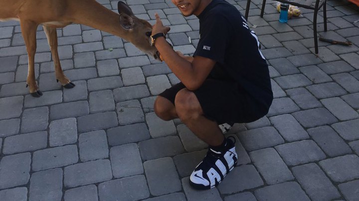 deer-friends_culture