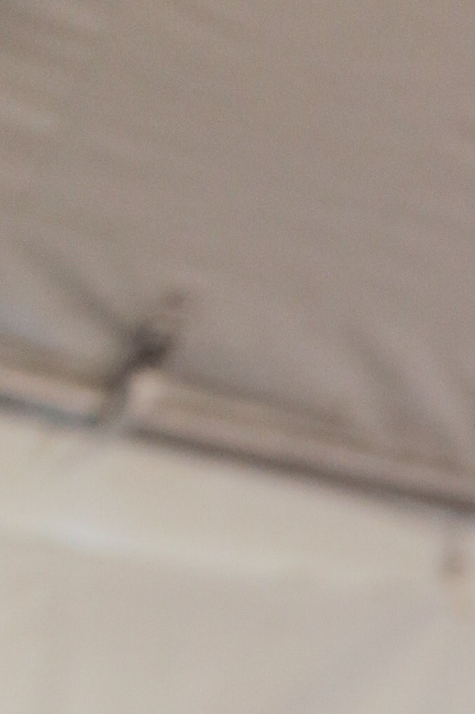 the get down_film_itzel-38