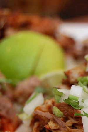 Birria Taco by Stuart Spivack is licensed under CC BY-SA 2.0.