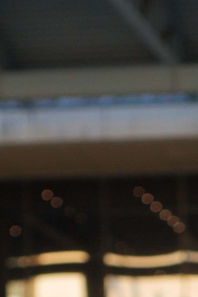 Alliana_culture_arlene mejorado_b2s