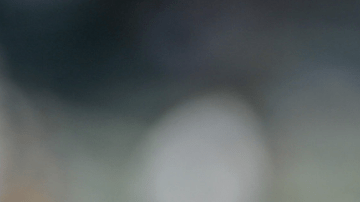 Jae C. Hong / Associated Press