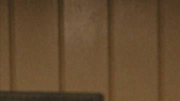 Still from 'Antes que cante el gallo'