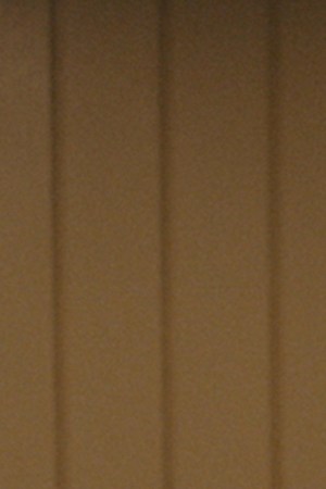 Still from 'Antes que cante el gallo'