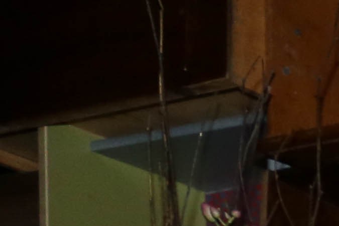 Bartender Legion mezcal bartender_legion_mezcal_itzel-22