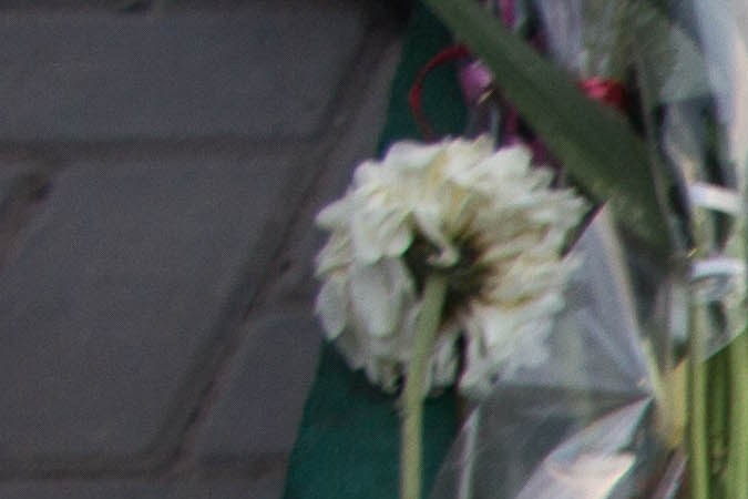 juan ga_culture_alex duran-10