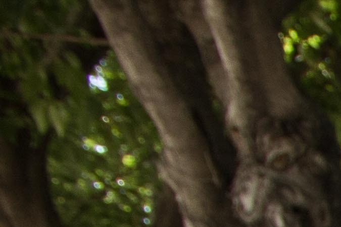 juan ga_culture_alex duran-33