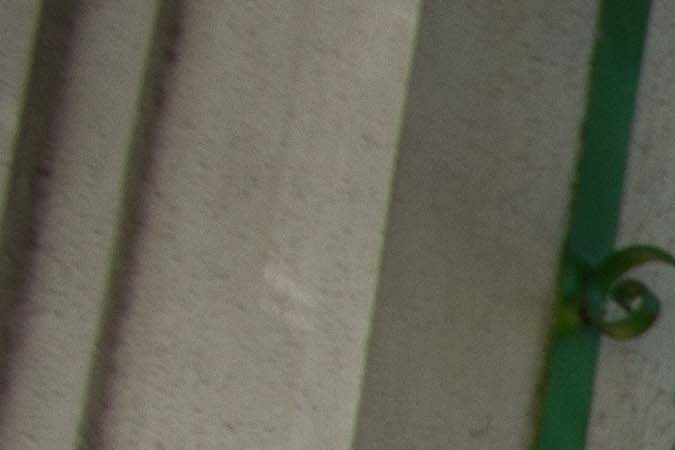 juan ga_culture_alex duran-34