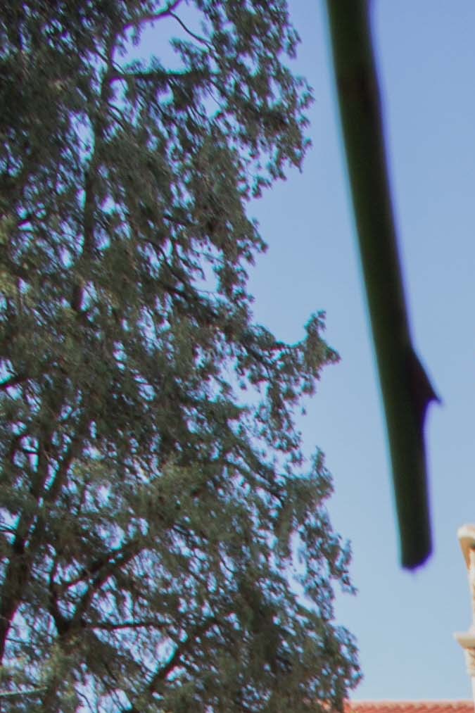 juan ga_culture_alex duran-36