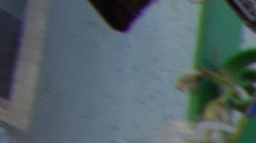 Photo by Alex Duran for Remezcla.