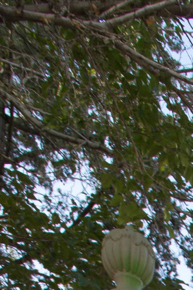 juan ga_culture_alex duran-38