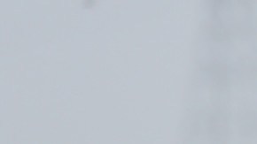 Photo by John Moore/Getty Images