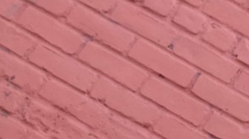 Rafael Reyes and Dave Parley, Photo by Itzel Alejandra Martinez