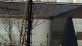 Courtesy of the artist