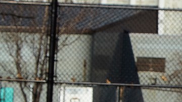 Courtesy of the artist