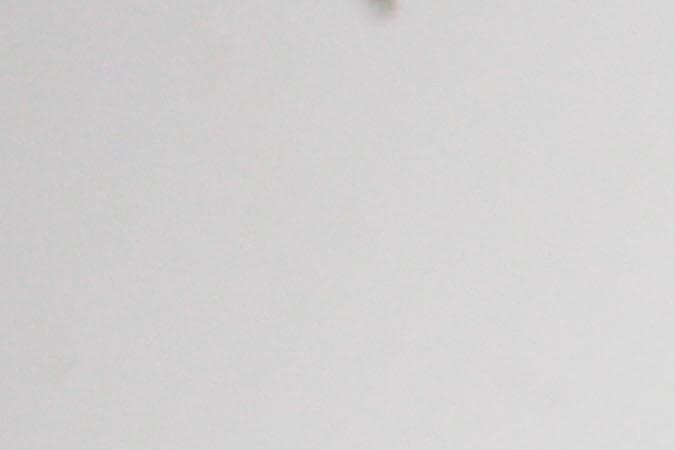 Photo by Itzel Alejandra