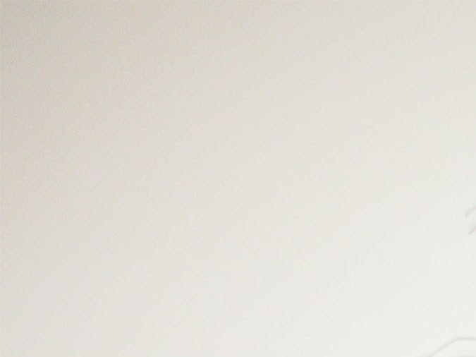 Photo by Itzel Alejandra