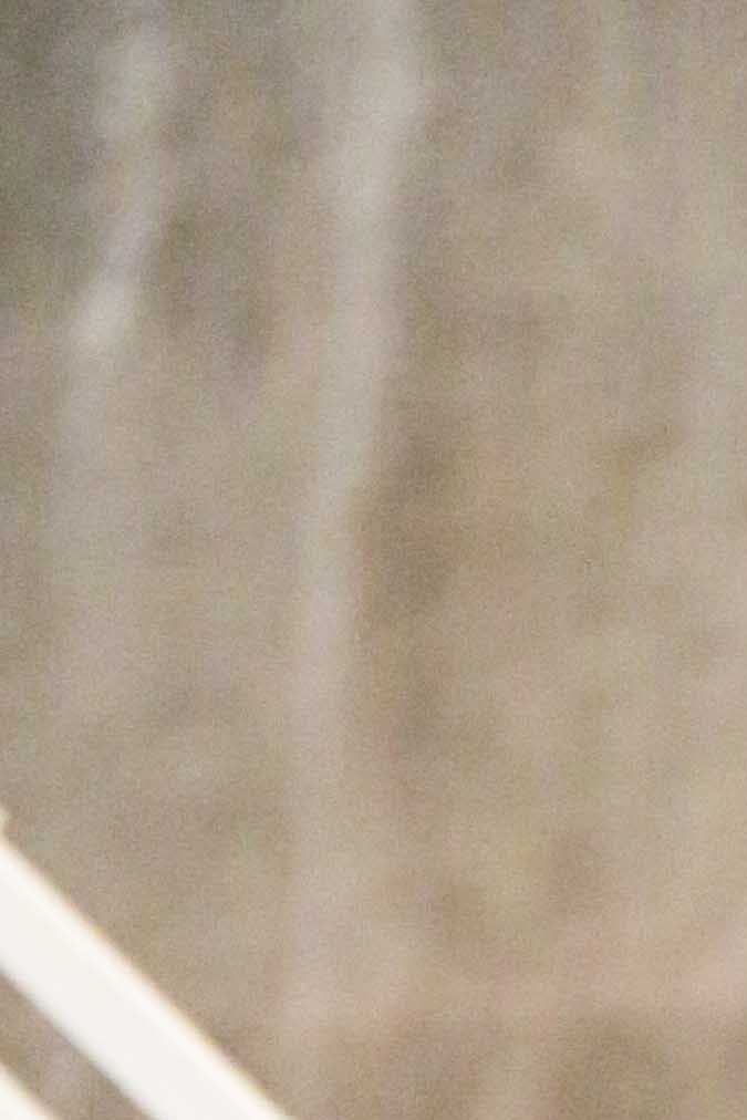 Photo by Itzel Alejandra