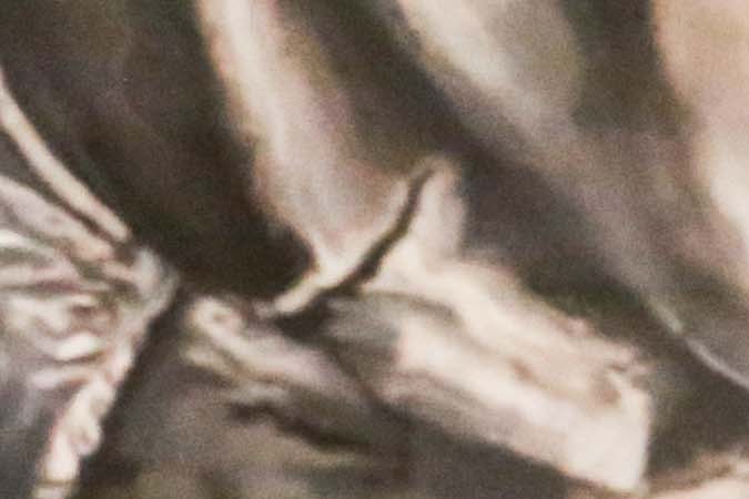 Photo by Itzel Alejandra