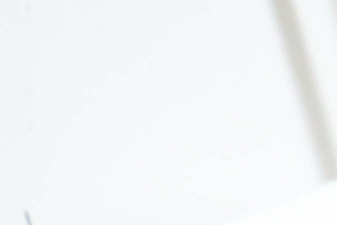 Photo by Itzel Alejandra