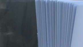 taco truck registration_culture