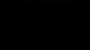 Photo by Matt Sayles/Invision/AP