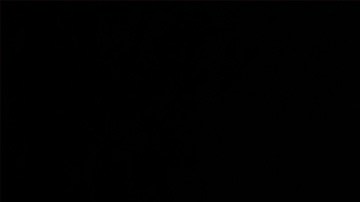 Photo by Matt Sayles/Invision/AP