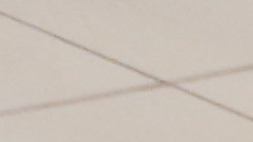 Regional Digital Director Nichole Sessego, Photo by Itzel Alejandra Martinez for Remezcla