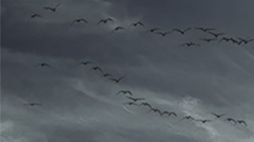 barragan-wall_culture