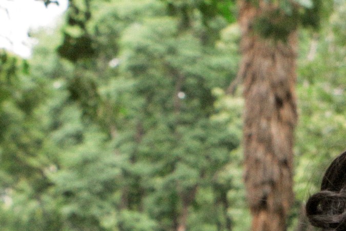 Fanny, Photo by Alan Lopez for Remezcla