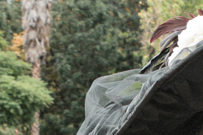 catrinas_alan-lopez-10