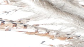 catrinas_alan-lopez-8