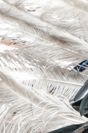 catrinas_alan-lopez-8