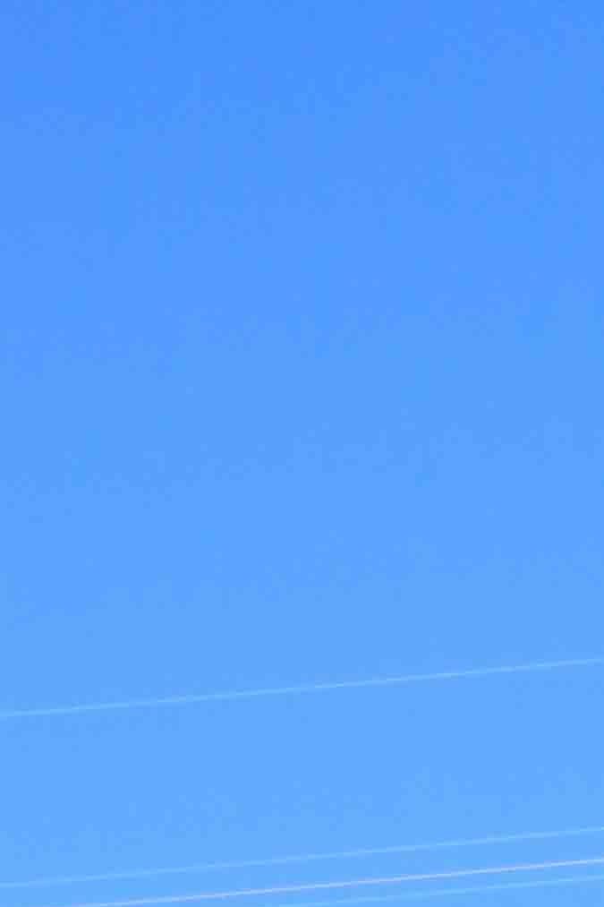 indigenous-peoples-day_itzel-alejandra-10