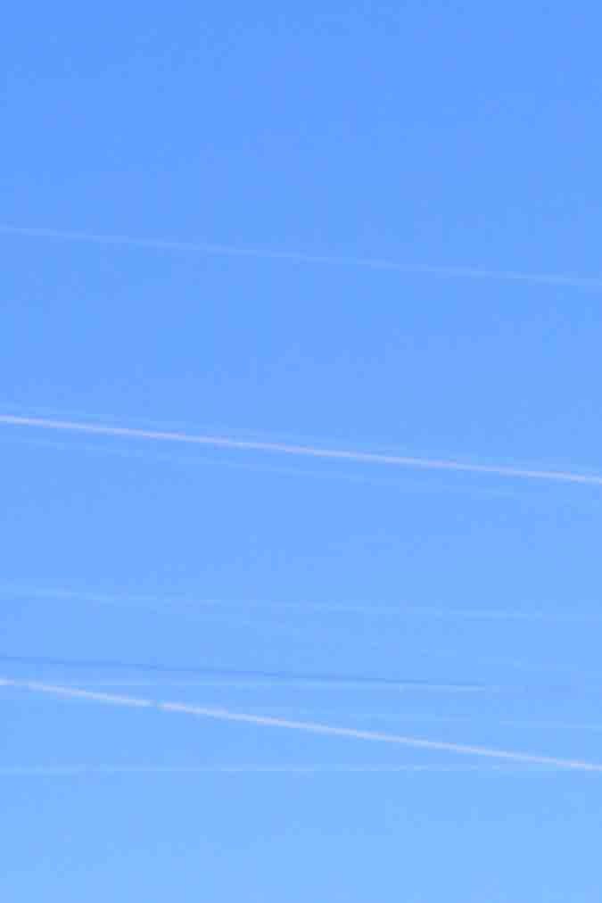 indigenous-peoples-day_itzel-alejandra-20