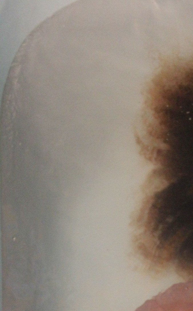 Gabriella Alfred Pinpero, Photo by Adál Maldonado