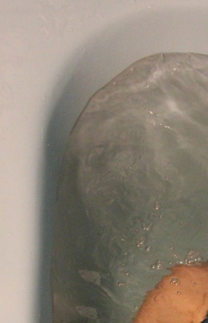 Maria de Azua, Photo by Adál Maldonado