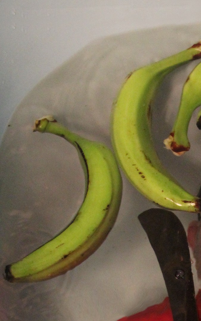 Nelson Rivera, Photo by Adál Maldonado