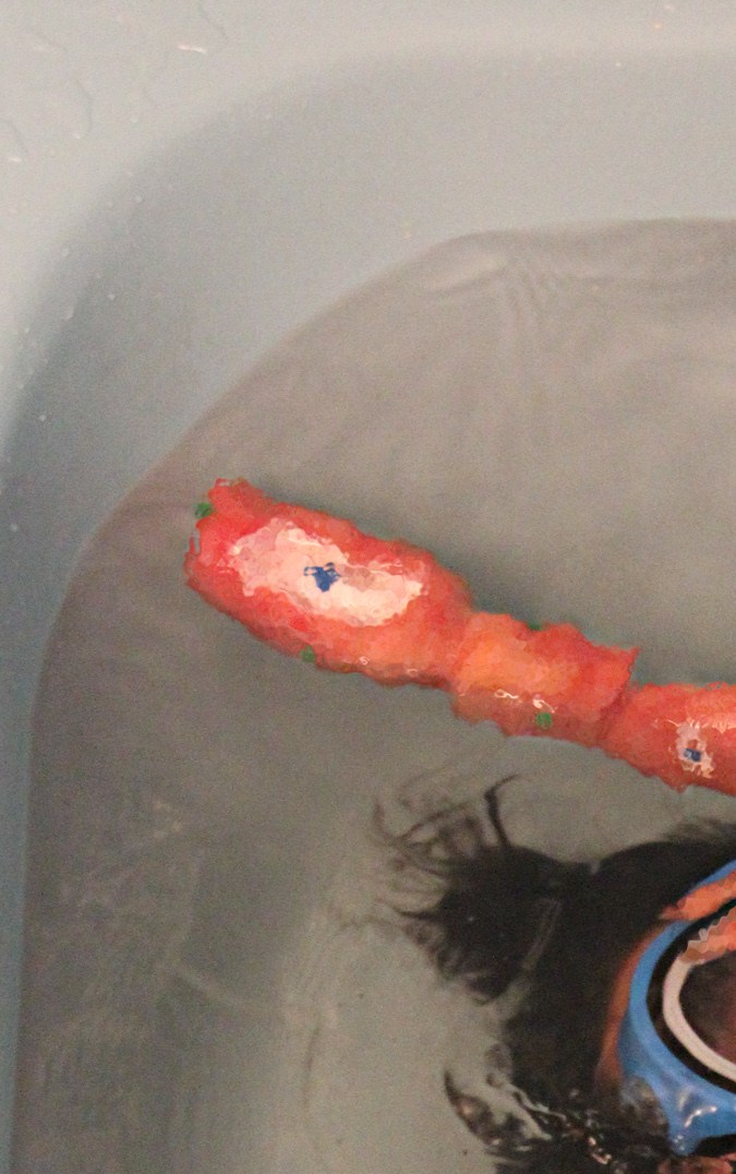 Pablo del Hierro, Photo by Adál Maldonado