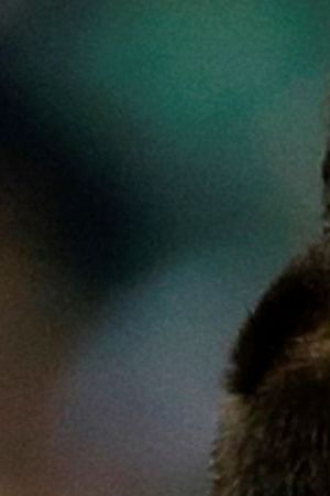 chicharito-michael-bradley-usa-mexico-soccer