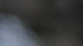 Photo: Mari Keeler Cornwell