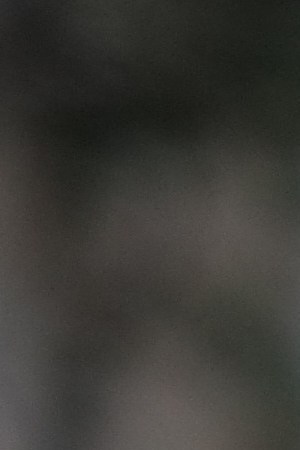 Photo: Mari Keeler Cornwell