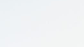 Photo via Exposition Goods