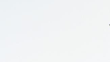 Photo via Exposition Goods