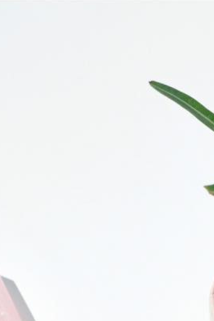 Photo via Exposition Goods