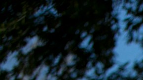 Photo: Deborah Cannon/American-Statesman