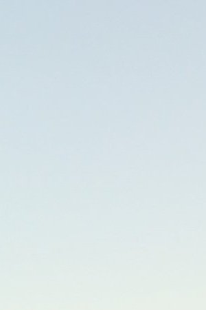 Jacket: Hija de tu Madre.