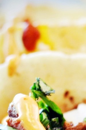 tacoholics-restaurant_food