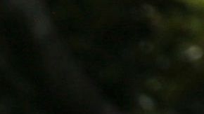 Photo: Jason Redmond